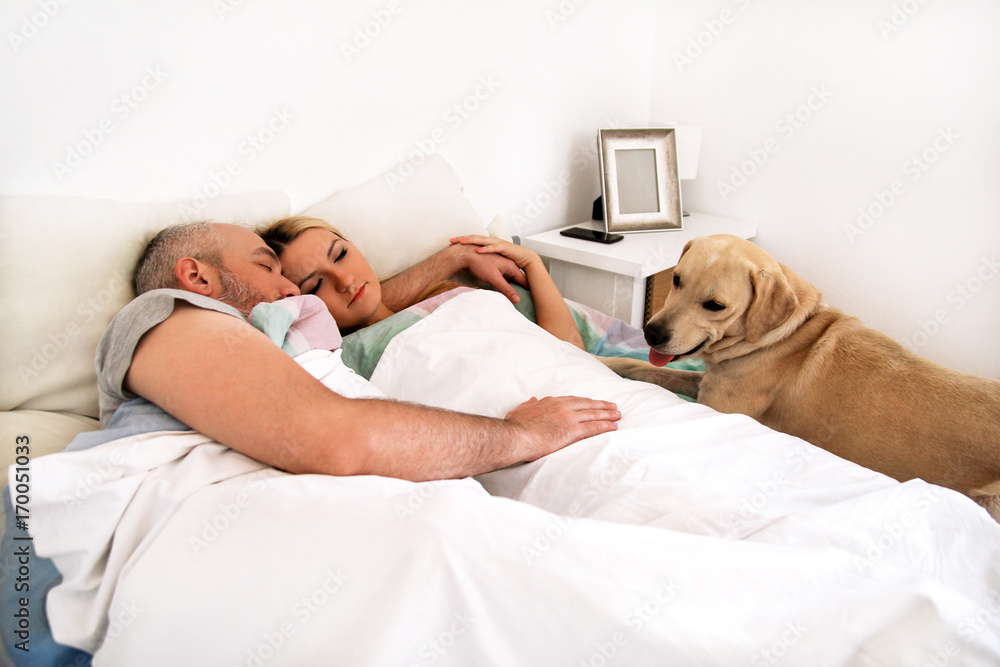 Handsome couple in bed sleeps together in association with their dog. A  yellow labrador retriever enjoys