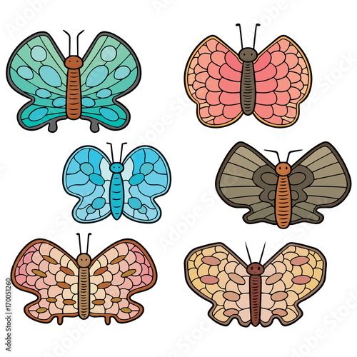 vector set of butterfly