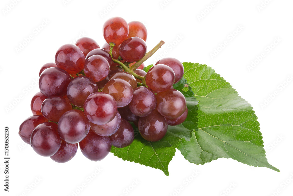 Fototapeta premium Red grapes isolated on over white background