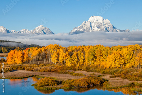 Autumn in the Tetons