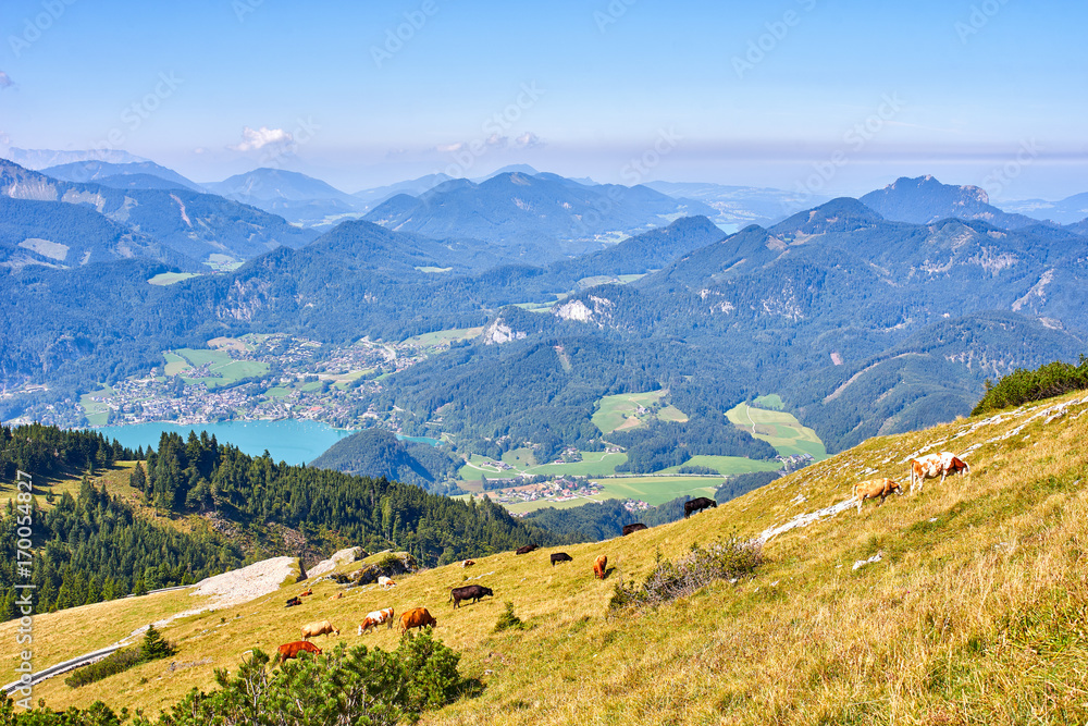Austrian Alps landscape