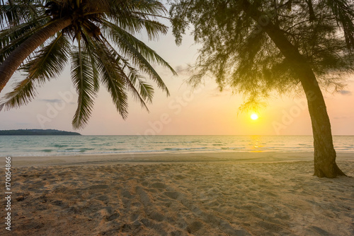 Sunset sky over tropical sea with beautiful beach and coconut tree