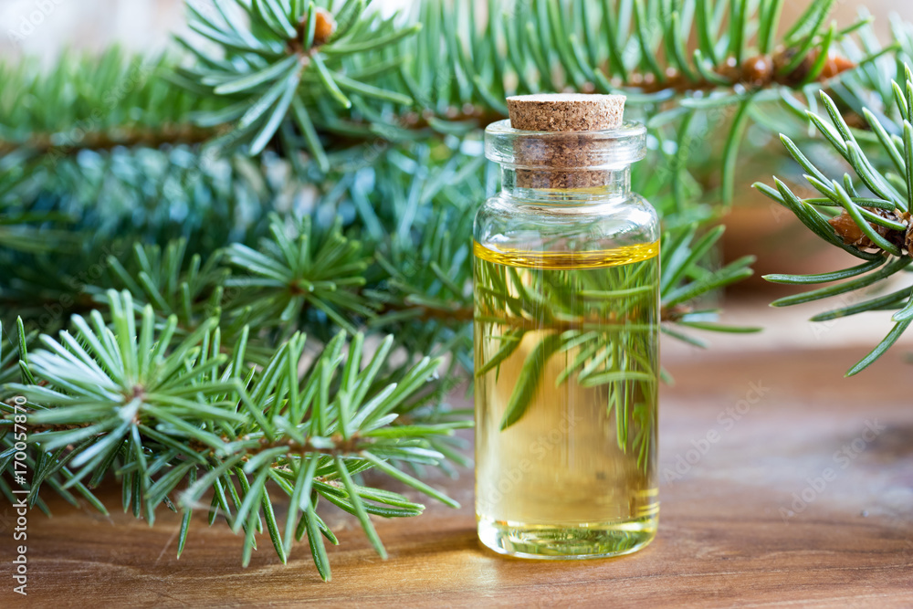 A bottle of spruce essential oil with fresh spruce twigs A bottle of spruce essential oil with fresh spruce twigs