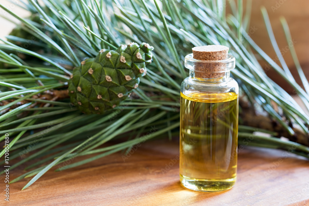 A bottle of pine essential oil with pine branches A bottle of pine essential oil with pine branches