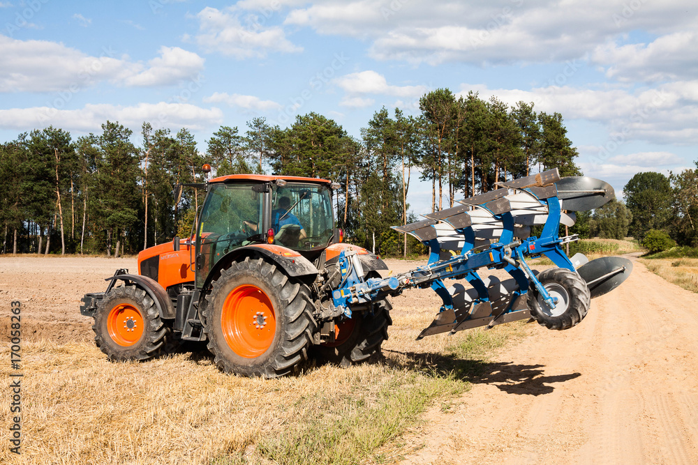 Naklejka premium orka