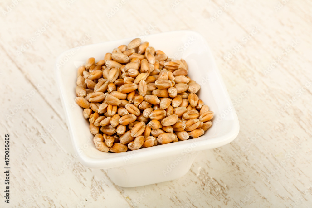 Wheat grains Wheat grains