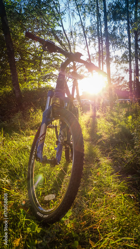 Велосипед в лучах солнца