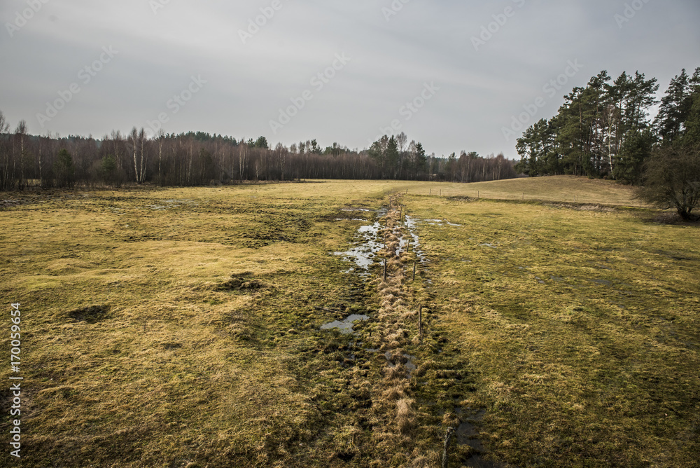 Fototapeta premium Village Landscape