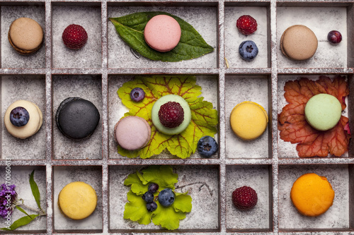 Variety of colorful french sweet dessert - les macarons with flowers and berries.