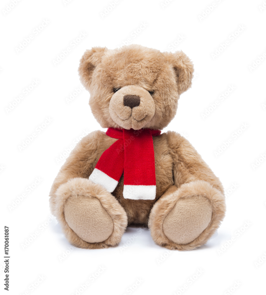 Teddy bear isoalted on white