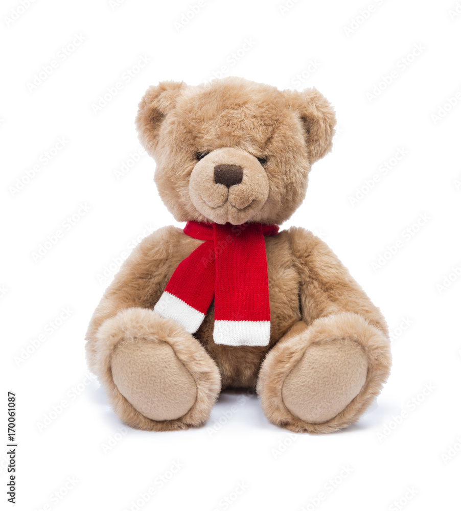 Fototapeta premium Teddy bear isoalted on white