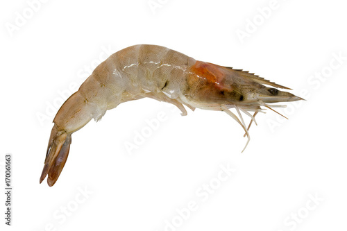 Close up one shrimp isolated on white background. Clipping path.