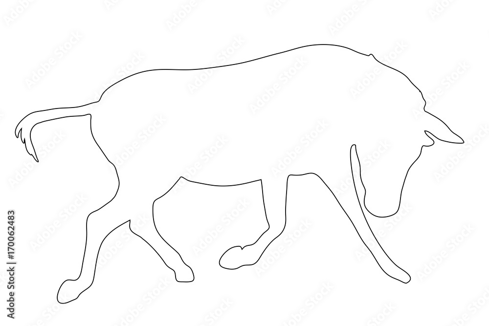 Outline of an african Zebra - digitally handdrawn illustration on white background Outline of an african Zebra - digitally handdrawn illustration on white background