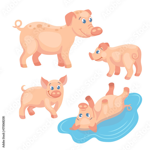 Adult pig with tree piglets on the white background / There are cute family of pigs on the white background. Pigs are in the different poses
