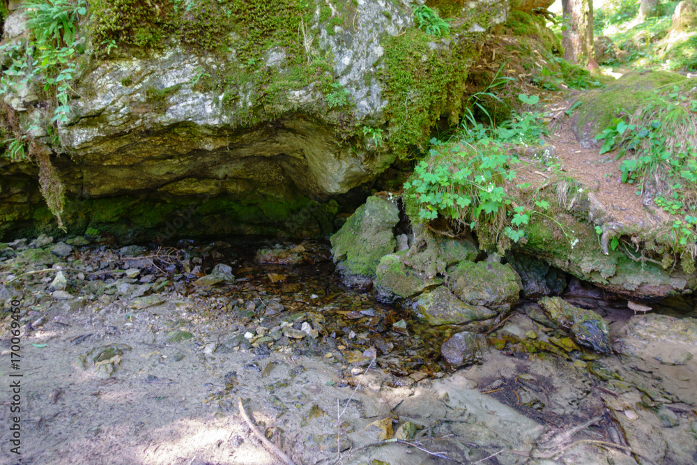 Crna spring in Logarska valley where the Savinja river originates Crna spring in Logarska valley where the Savinja river originates
