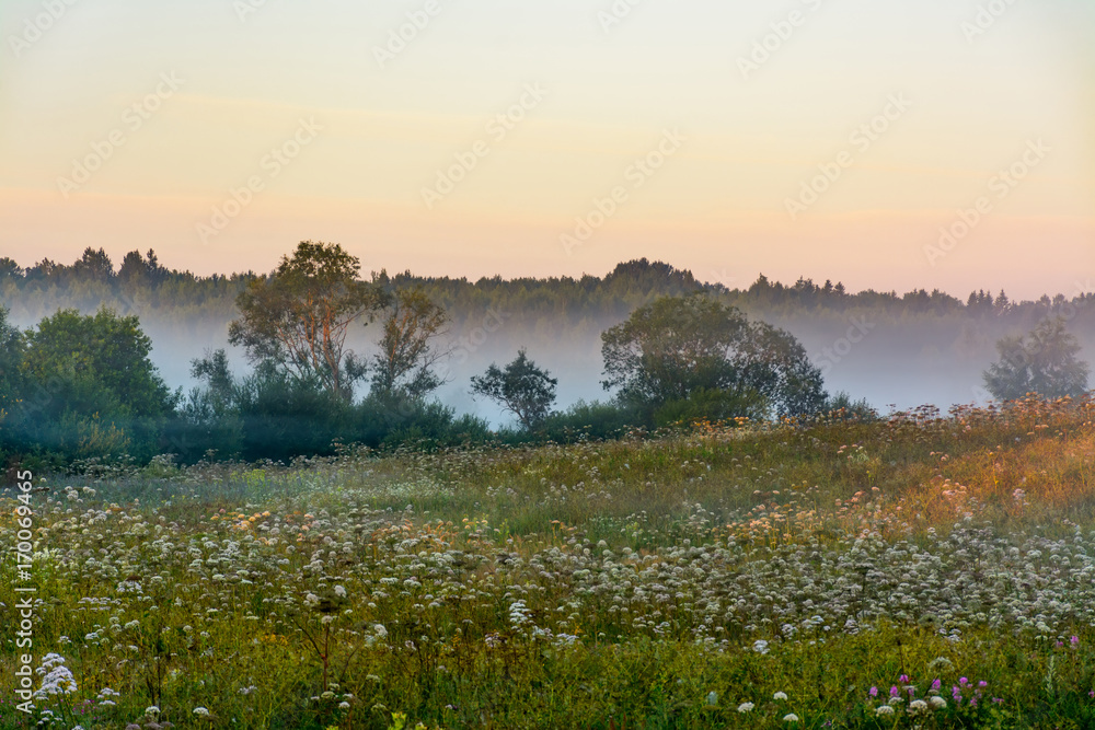 Summer dawn Summer dawn