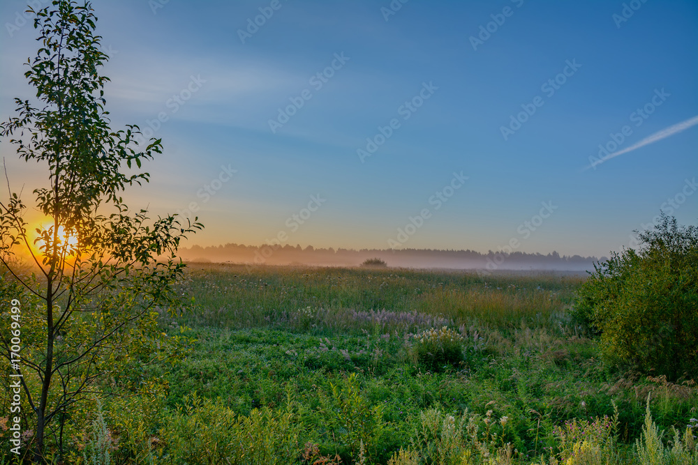 Obraz premium Summer dawn