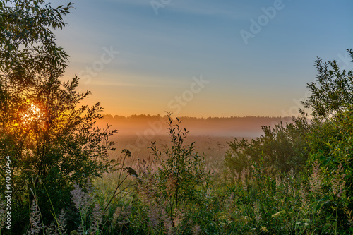 Summer dawn