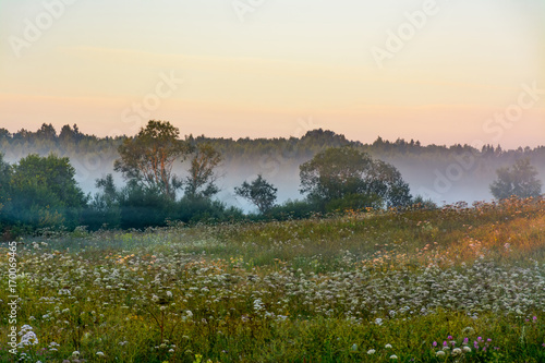 Summer dawn