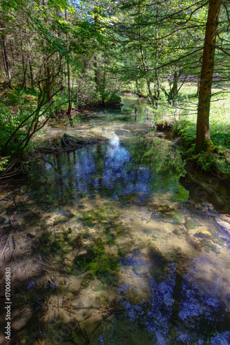 Crna spring in Logarska valley where the Savinja river originates photo