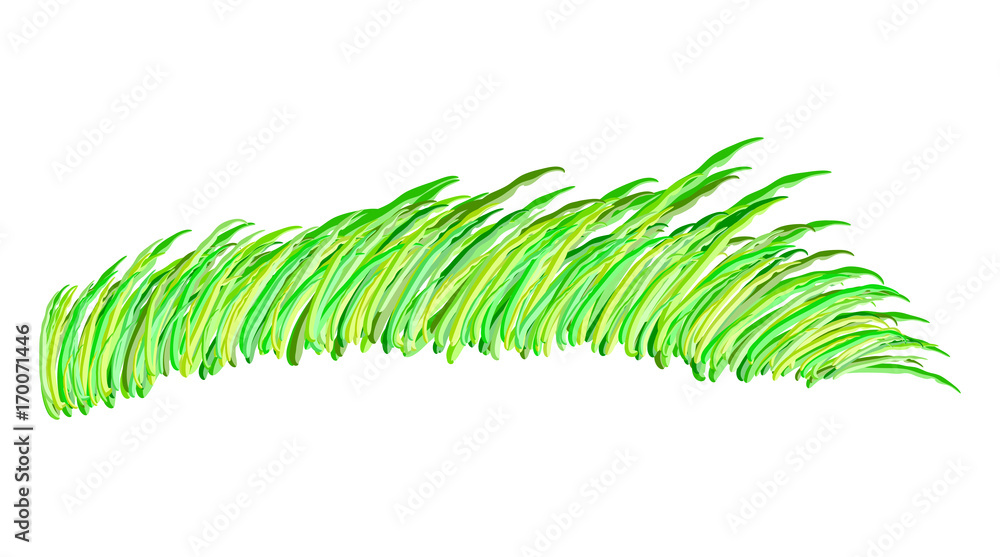algae vector symbol icon design. Beautiful illustration isolated on white background algae vector symbol icon design. Beautiful illustration isolated on white background