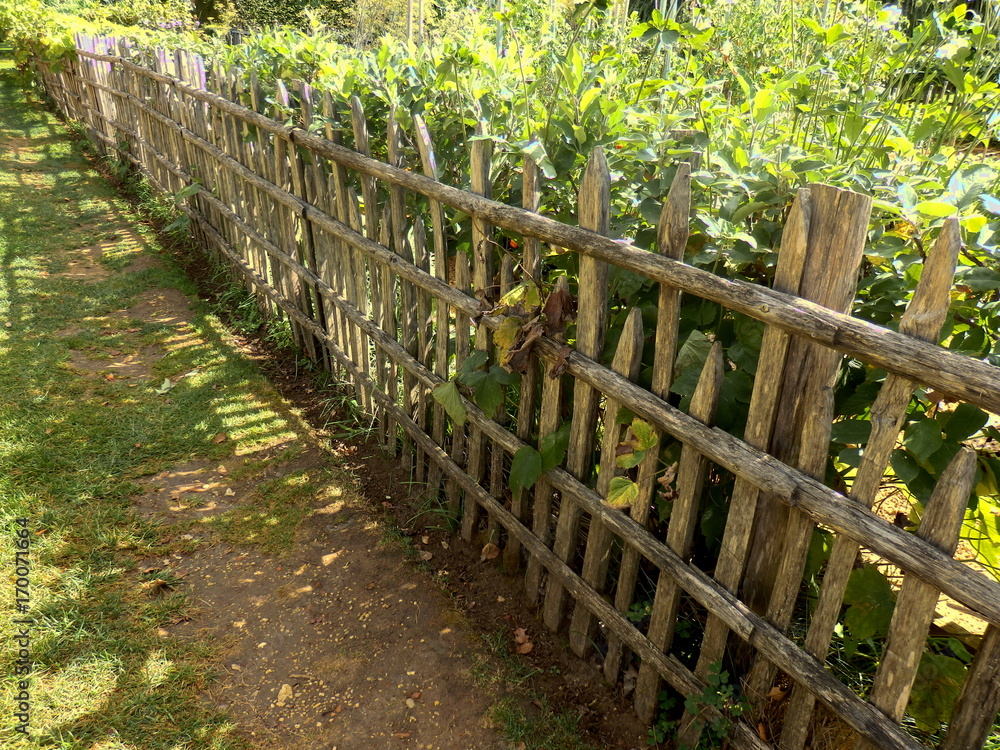 Rustic picket fence enclosing a vegetable garden