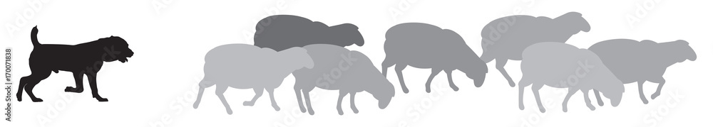 Obraz premium Owca z sylwetkami psa pasterskiego, owczarek stróżujący chroni stado owiec przed drapieżnikami, pies stróżujący zwierząt gospodarskich (LGD), typ ilustracji wektorowych wyhodowany pies pasterski