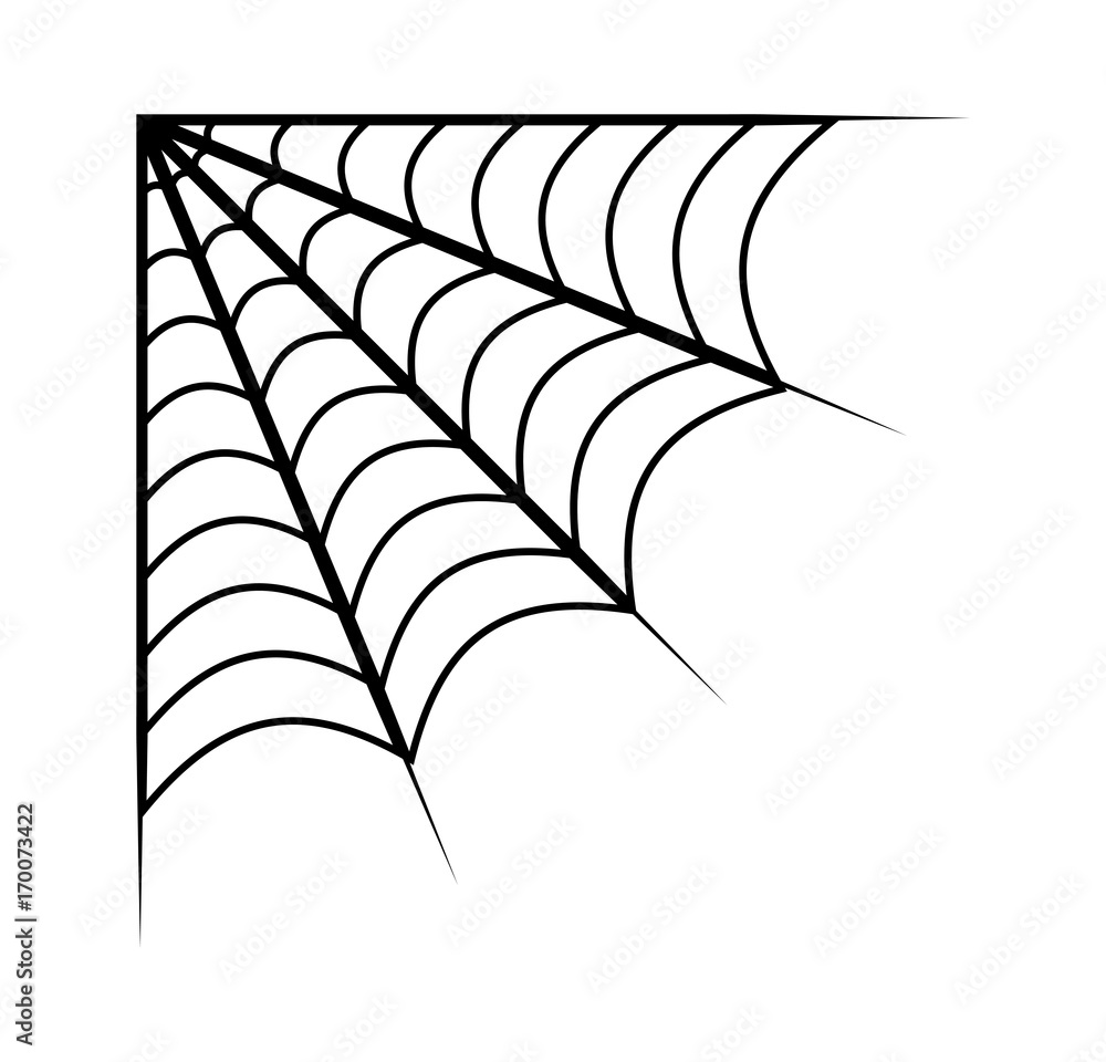 Obraz premium spider web vector symbol icon design. Beautiful illustration isolated on white background