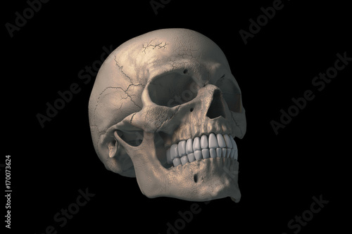 Human skull on Rich Colors a dark background. The concept of death, horror. A symbol of spooky Halloween. 3d rendering illustration.
