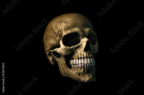 Human skull on Rich Colors a dark background. The concept of death, horror. A symbol of spooky Halloween. 3d rendering illustration.