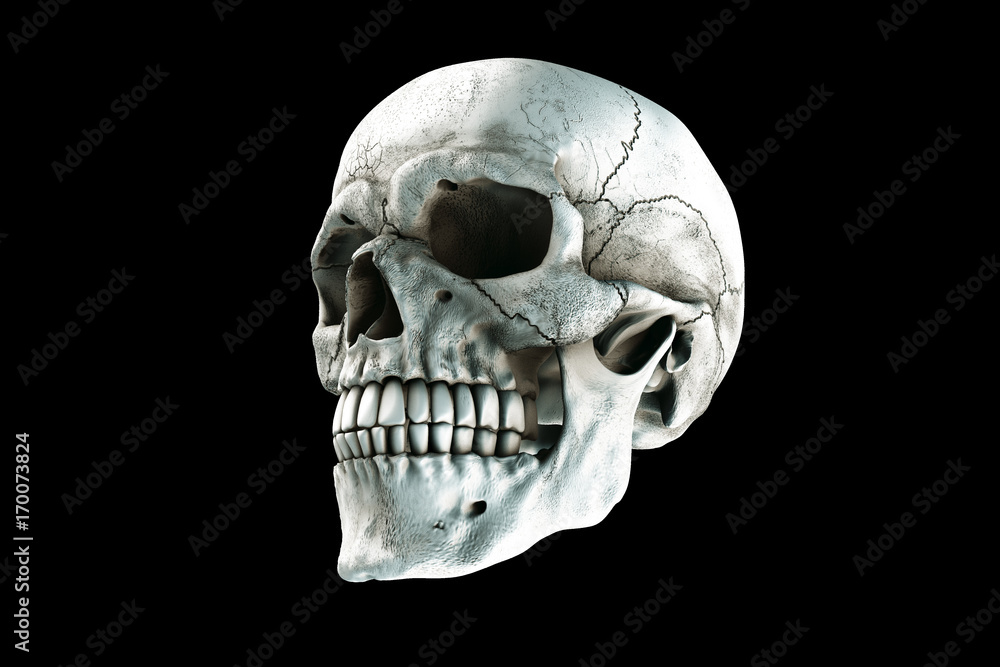 Human skull on Rich Colors a dark background. The concept of death, horror. A symbol of spooky Halloween. 3d rendering illustration. Human skull on Rich Colors a dark background. The concept of death, horror. A symbol of spooky Halloween. 3d rendering illustration.