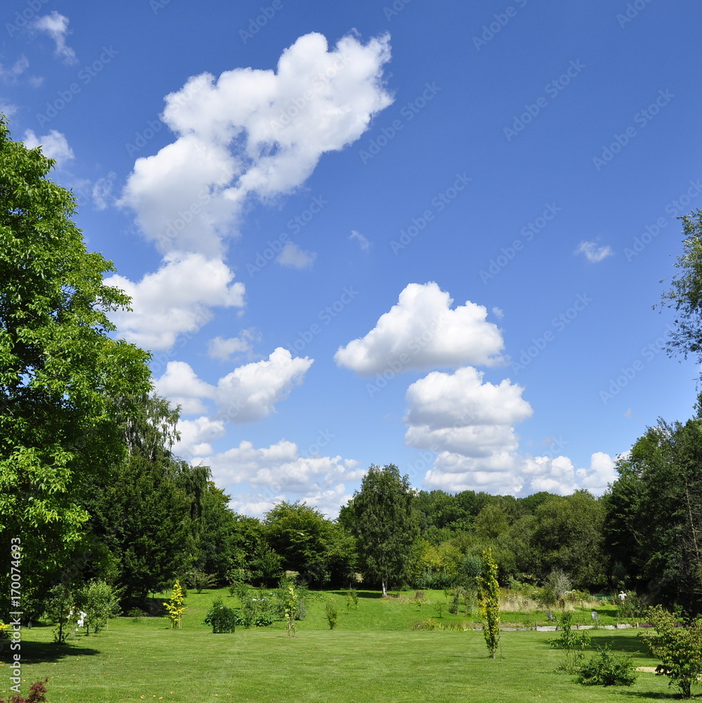 Jardin en été 