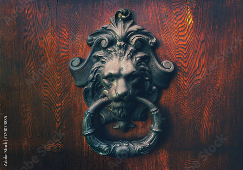 Door knocker