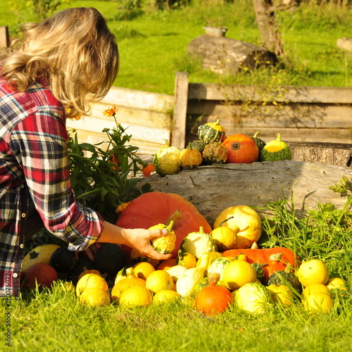 Courges , décoration , jardin, femme 