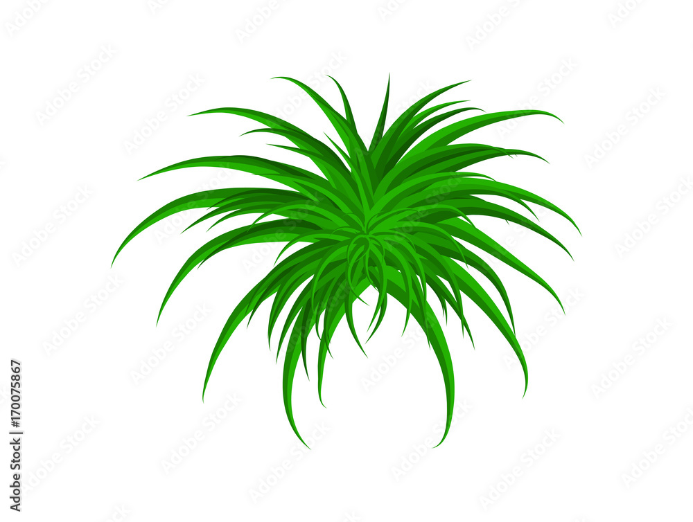 grass vector symbol icon design. Beautiful illustration isolated on white background grass vector symbol icon design. Beautiful illustration isolated on white background