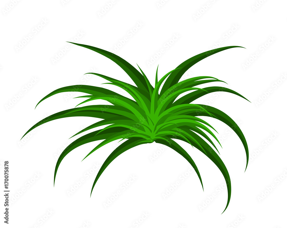 grass vector symbol icon design. Beautiful illustration isolated on white background