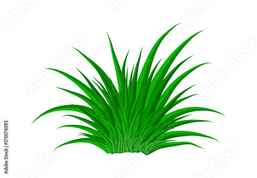 grass vector symbol icon design. Beautiful illustration isolated on white background