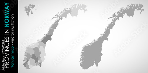 Vector map of Norway and provinces GRAY