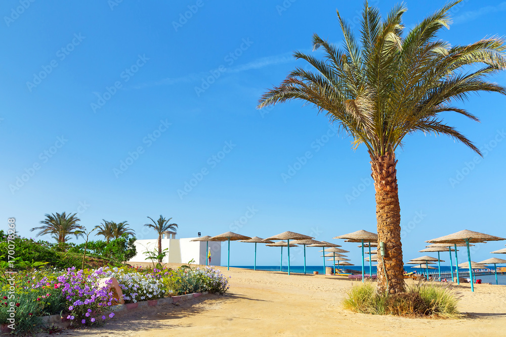 Fototapeta premium Egyptian beach at sunny day in Hurghada