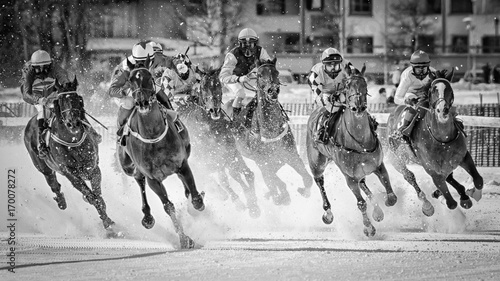 Canvastavla White Turf horse races on Lake St. Moritz