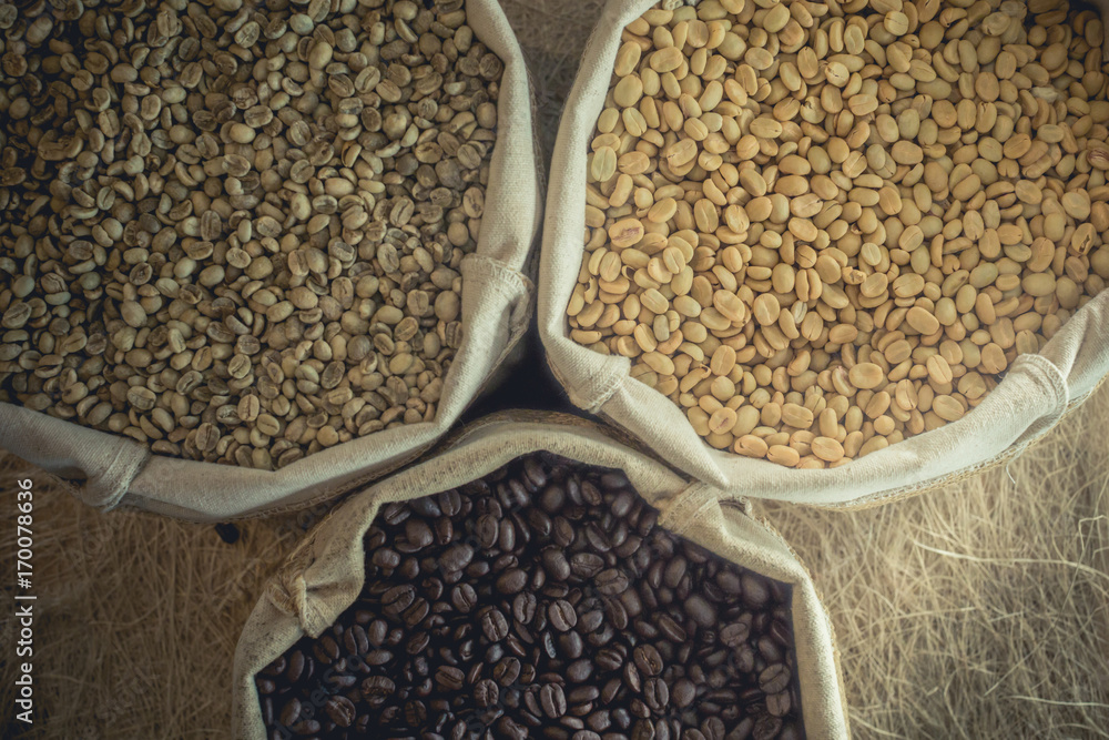 Obraz premium Coffee bean roasted and unroasted.