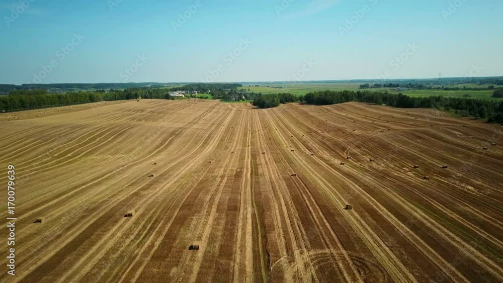 4K. Flight over cultivated fields with haystacks after harvesting. Aerial view. 4K. Flight over cultivated fields with haystacks after harvesting. Aerial view.