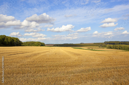 yorkshire wolds harvest time