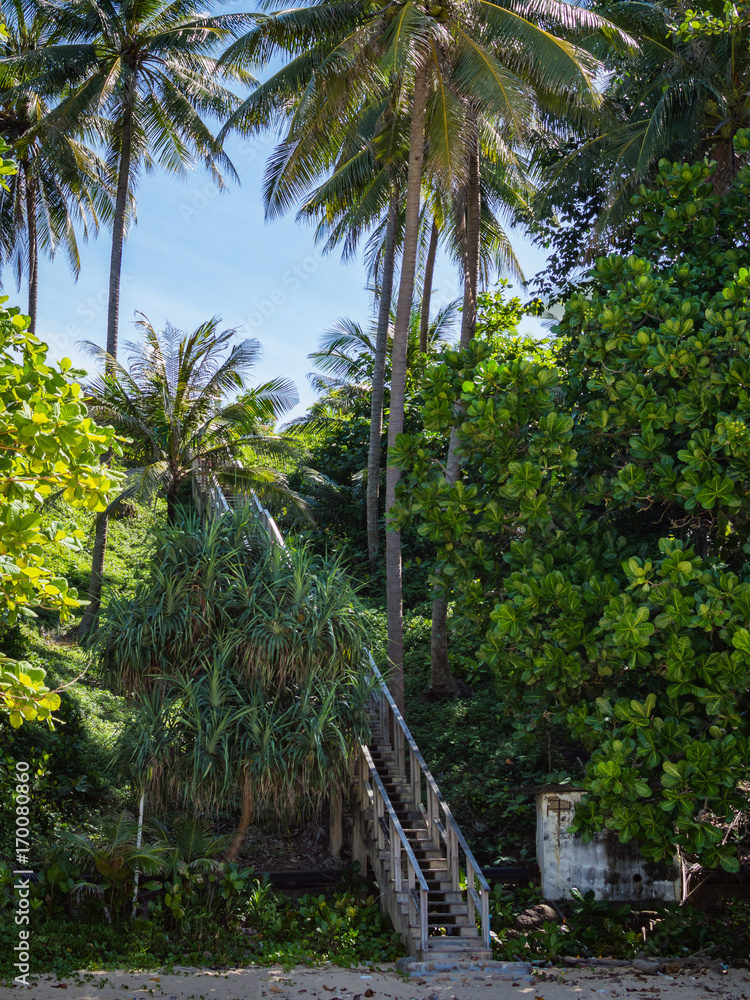 Wooden down way stairs to the beach, with palms around. Naithon beach, Phuket, Thailand