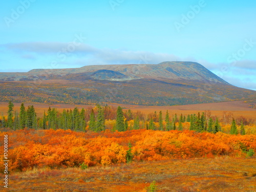 Alaska's Autumn Beauty