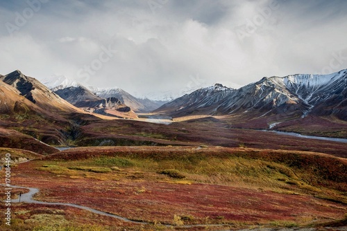 Fall color on the Alaska tundra with snowy mountains  photo