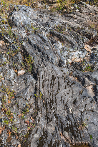 Rocky outcrops of the Salair ridge have gold of the river Suenga, Siberia, Russia photo