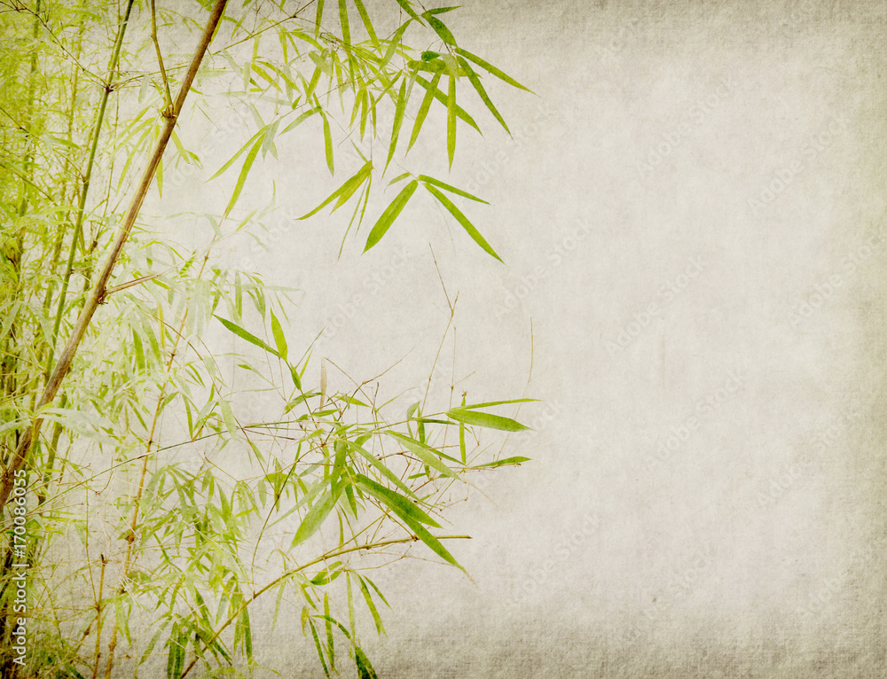Fototapeta premium bambus na stary tło grunge tekstury papieru