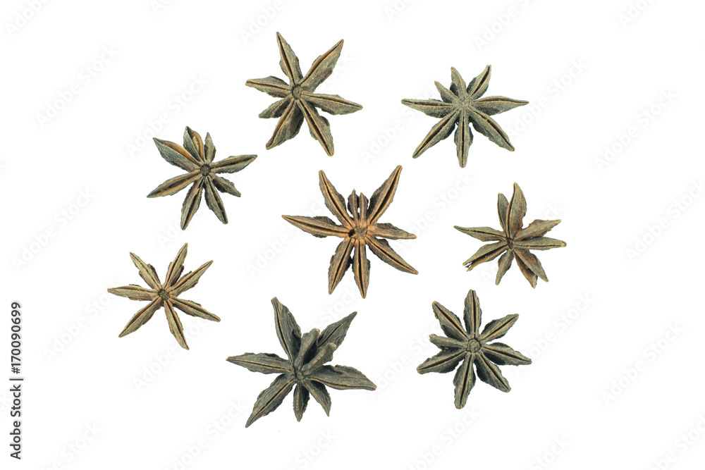 Star anise spice fruits and seeds isolated on white background closeup Star anise spice fruits and seeds isolated on white background closeup