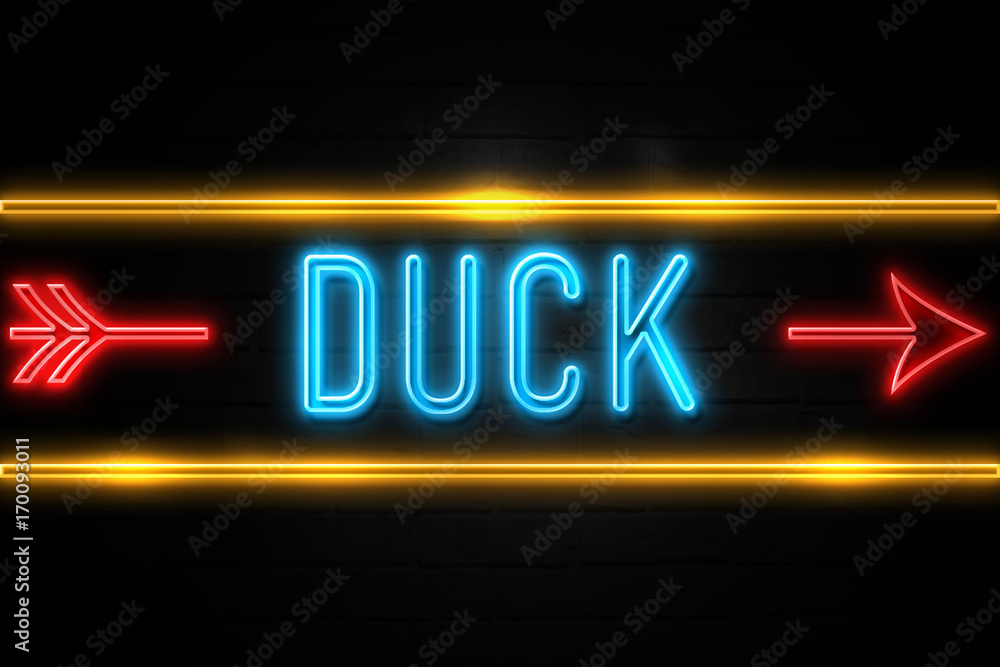 Obraz premium Duck - fluorescent Neon Sign on brickwall Front view